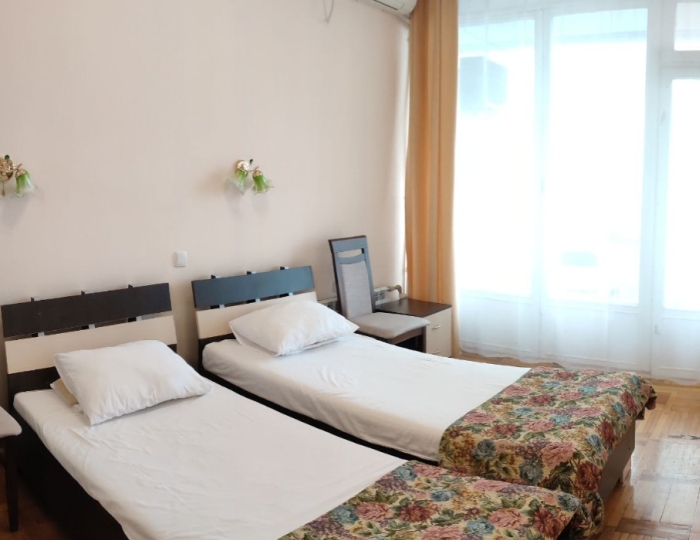 2-местное станд. (южный) - Санаторий «Кирова» Ялта