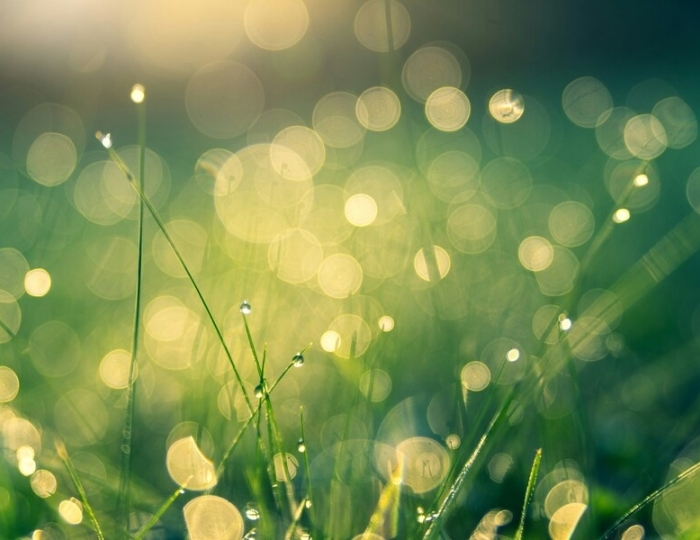 Нервная система - Лечебные программы - Санаторий «Кирова» Ялта